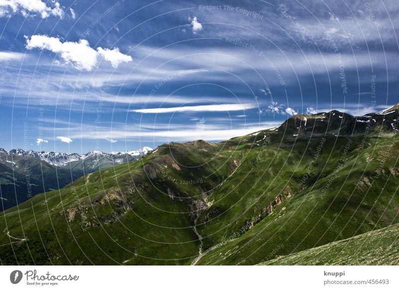 Idylle Umwelt Natur Landschaft Pflanze Erde Luft Himmel Wolken Horizont Sonne Sonnenlicht Frühling Sommer Klimawandel Schönes Wetter Gras Sträucher Wiese Hügel