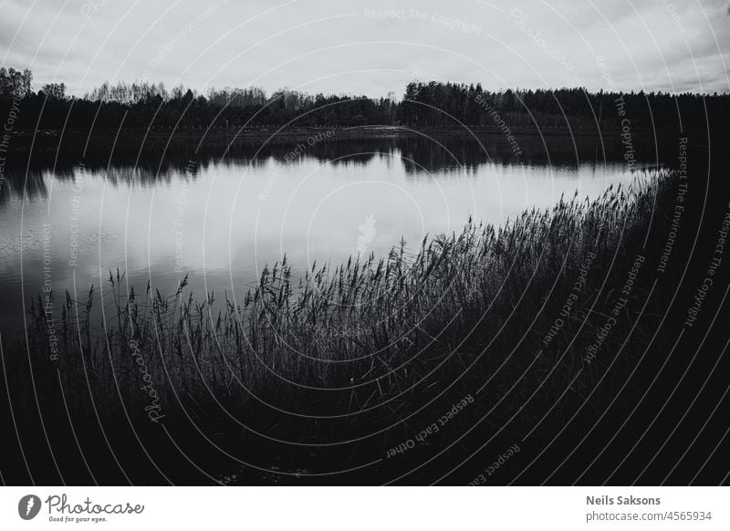 ruhiger schöner Teich in Lettland Herbst Hintergrund Schönheit blau blauer See Windstille Cloud Wolken kalt Morgendämmerung Tag Umwelt Abend Belichtung fallen