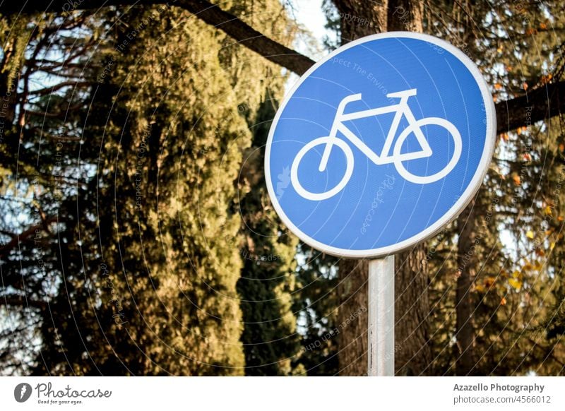 Fahrradwegweiser mit grüner Thees auf dem Hintergrund. Fitness Training Lifestyle Gesundheit Erholung Bahn Bokeh Bäume Metall Regie Fußgänger beleuchtet Himmel