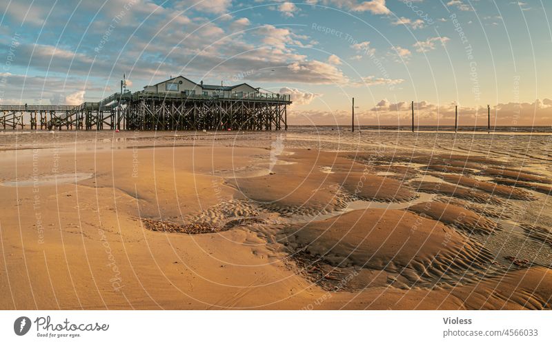 St. Peter Ording Nordsee pur Reisen Urlaub Küste Spiegelung Wolken Stelzenbauten Stelzenhaus Strand StrandStruktur