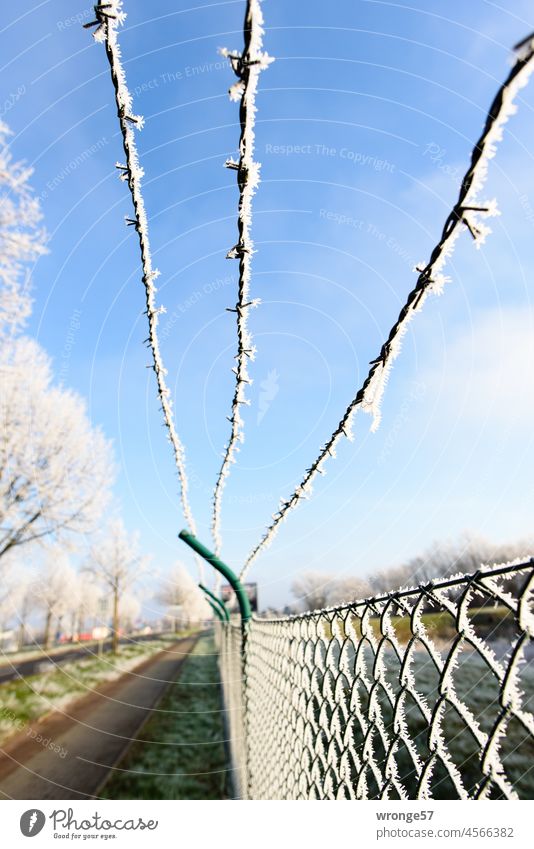 Frohes Fest | Raureif an Zaun und Stacheldraht unter blauem Himmel Winter winterlich zaun Maschendrahtzaun blauer Himmel Kälte