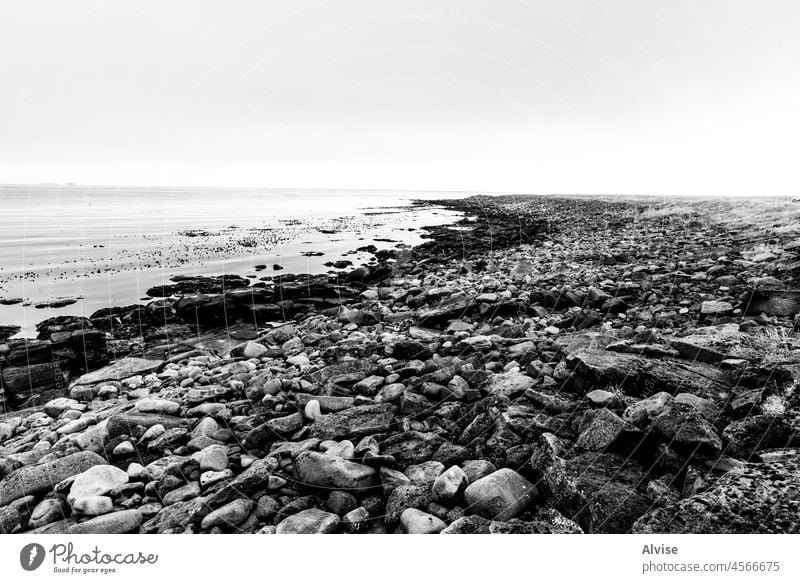 2021 08 13 Tjornes-Algen warten auf die Flut 3 Island MEER Wasser Ufer Natur Meer Strand reisen Felsen Himmel Kieselsteine Küstenlinie Wellen Ebbe Horizont See