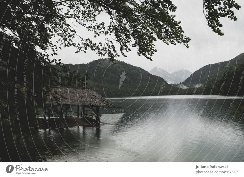 See in den Alpen um Herbst mit Bootshaus Landschaft Natur Wasser Außenaufnahme Farbfoto Seeufer Umwelt Menschenleer Tag ruhig Idylle Wald grün Schwangau Allgäu