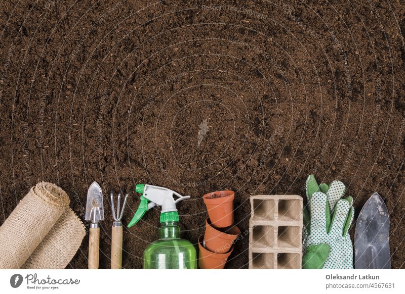 Flat Lay Gartenarbeit Zusammensetzung mit copyspace Frühling Rahmen grün Tisch flache Verlegung geblümt Pflanze Draufsicht Hintergrund Blume Wachstum ländlich