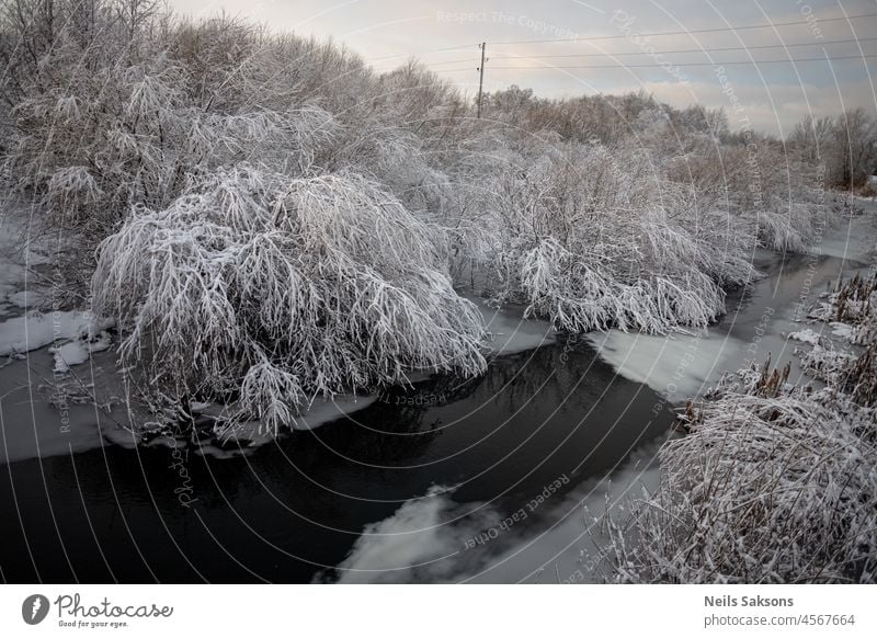 erster Schnee in Lettland Hintergrund Birke blau Ast hell übersichtlich wolkig kalt nadelhaltig Landschaft bedeckt Tag Dezember Umwelt Europa Wald frisch Frost