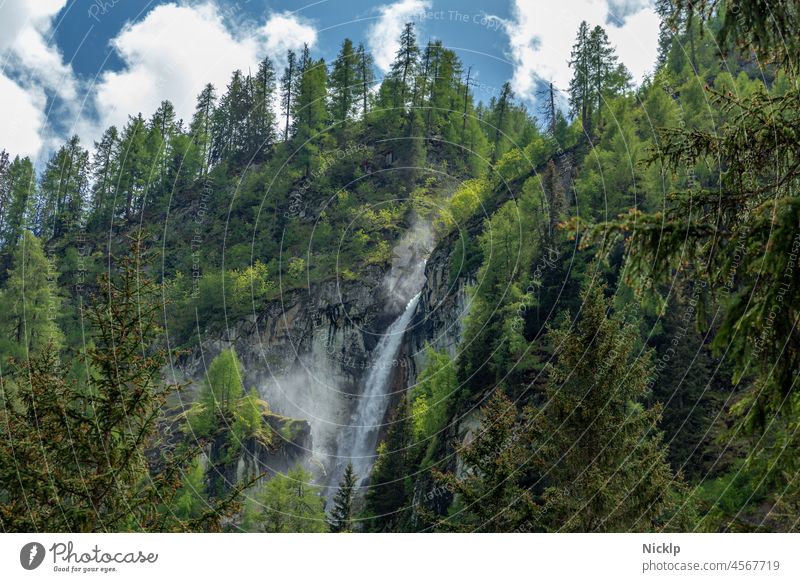 Wasserfall im Umbaltal (Umbalfälle), Nationalpark Hohe Tauern, Osttirol Österreich Wald Ferien & Urlaub & Reisen Fichten Ausblick Berge u. Gebirge zirbe Alpen