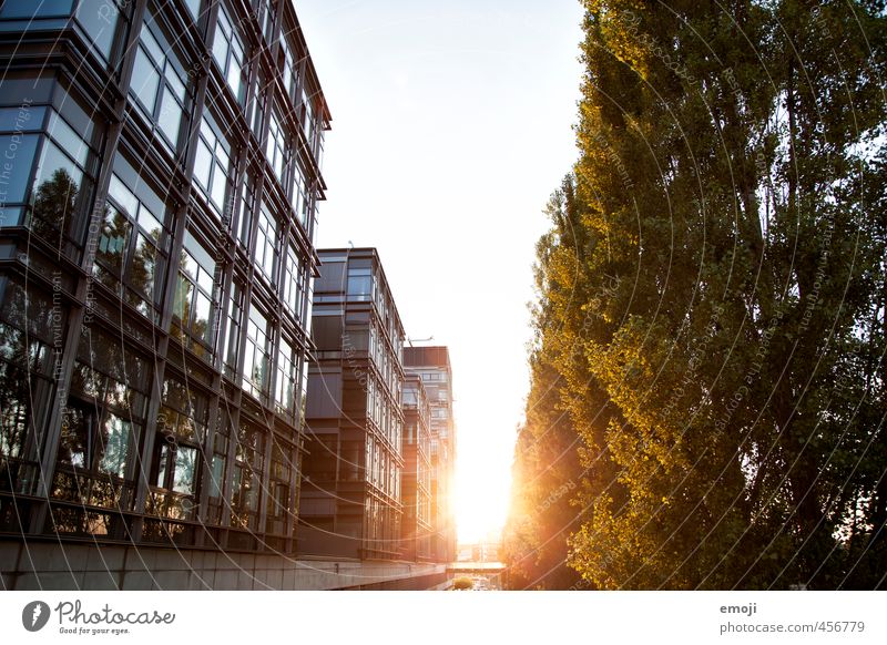 Spätsommer Sonne Baum Stadt Stadtzentrum Haus Bankgebäude Fassade natürlich Wärme Farbfoto Außenaufnahme Menschenleer Abend Sonnenlicht Sonnenstrahlen