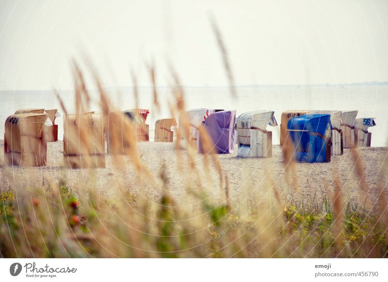 Gruppenkuscheln Umwelt Natur Landschaft Himmel Sträucher Strand Ostsee Meer frei kuschlig schön Strandkorb Farbfoto Außenaufnahme Menschenleer Tag