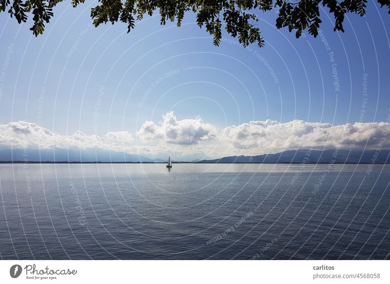 Wasser,Horizont,Berge,Himmel | Bodensee See Segelboot Weite Wolken ruhig Natur Menschenleer Landschaft blau Ferien & Urlaub & Reisen Umwelt Erholung