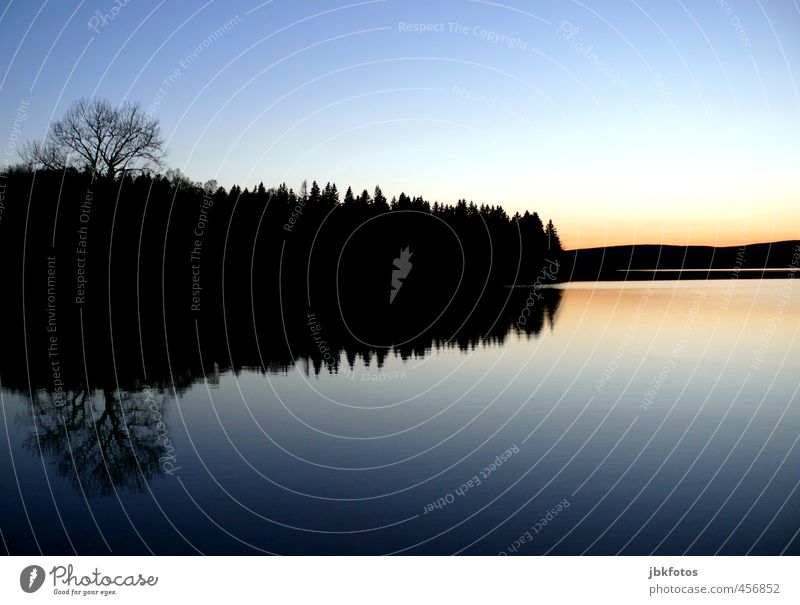 reflection Ferien & Urlaub & Reisen Abenteuer Umwelt Landschaft Urelemente Wasser Wolkenloser Himmel Sonnenaufgang Sonnenuntergang Herbst Schönes Wetter Baum