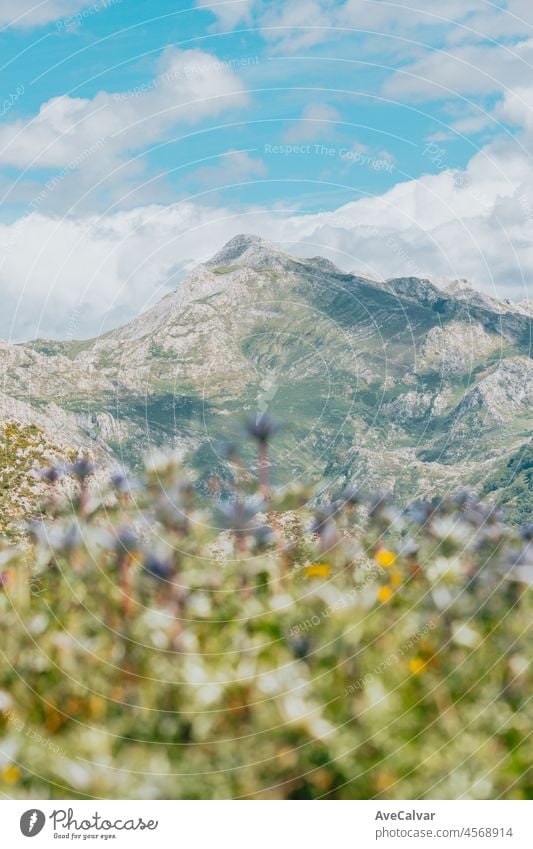 Malerische Sommerlandschaft im Hochland Schöne Landschaft mit Bergen. Aussichtspunkt Panorama in Lagos de Covadonga, Nationalpark Picos de Europa, Asturien, Spanien