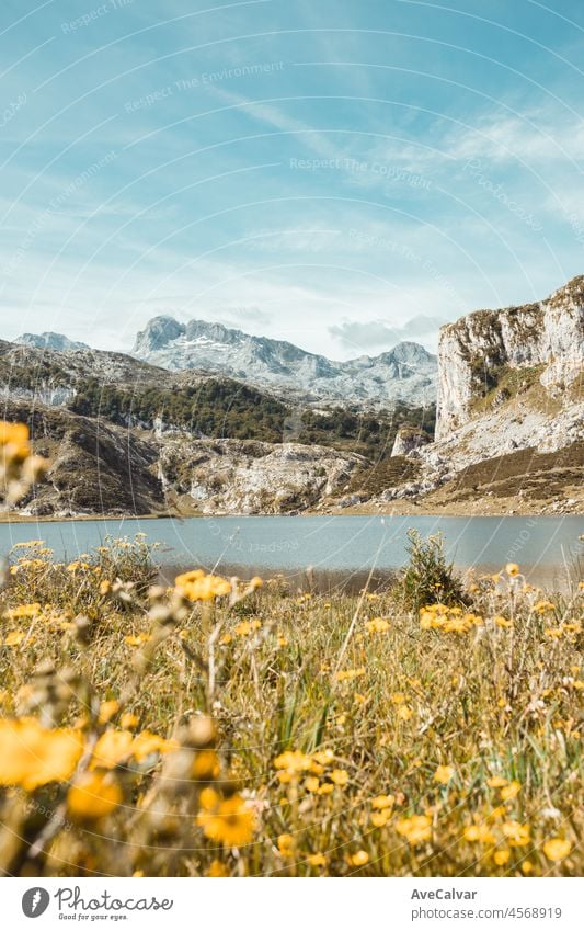 Malerische Sommerlandschaft im Hochland Schöne Landschaft mit Bergen. Aussichtspunkt Panorama in Lagos de Covadonga, Nationalpark Picos de Europa, Asturien, Spanien