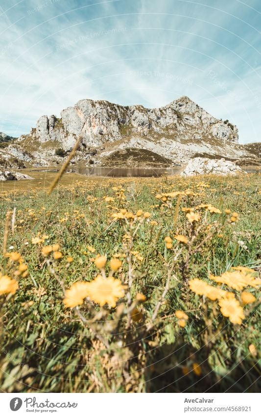 Malerische Sommerlandschaft im Hochland Schöne Landschaft mit Bergen. Aussichtspunkt Panorama in Lagos de Covadonga, Nationalpark Picos de Europa, Asturien, Spanien