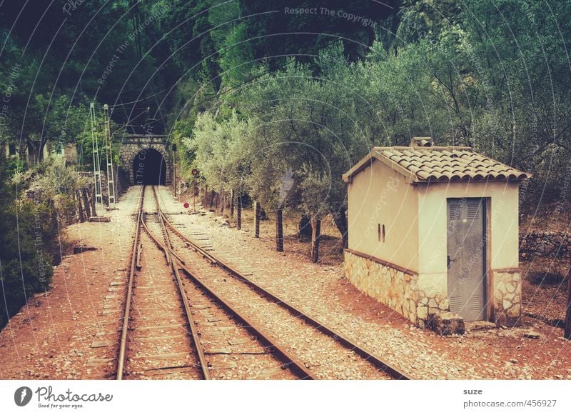 Querverweis Umwelt Natur Landschaft Erde Wärme Wald Berge u. Gebirge Tunnel Verkehr Verkehrswege Bahnfahren Wege & Pfade Schienenverkehr Schienenfahrzeug Gleise