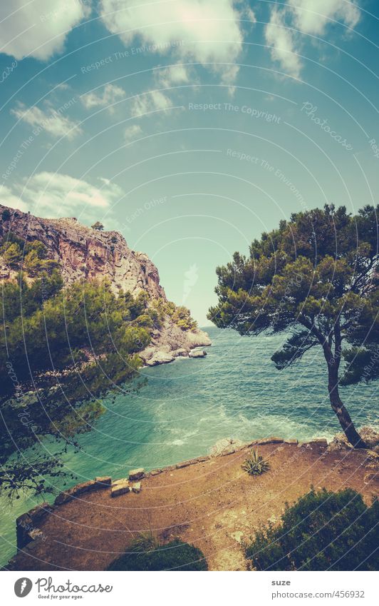 Sa Calobra Ferien & Urlaub & Reisen Sommer Sommerurlaub Insel Umwelt Natur Landschaft Pflanze Urelemente Himmel Wolken Schönes Wetter Wärme Baum Felsen Küste