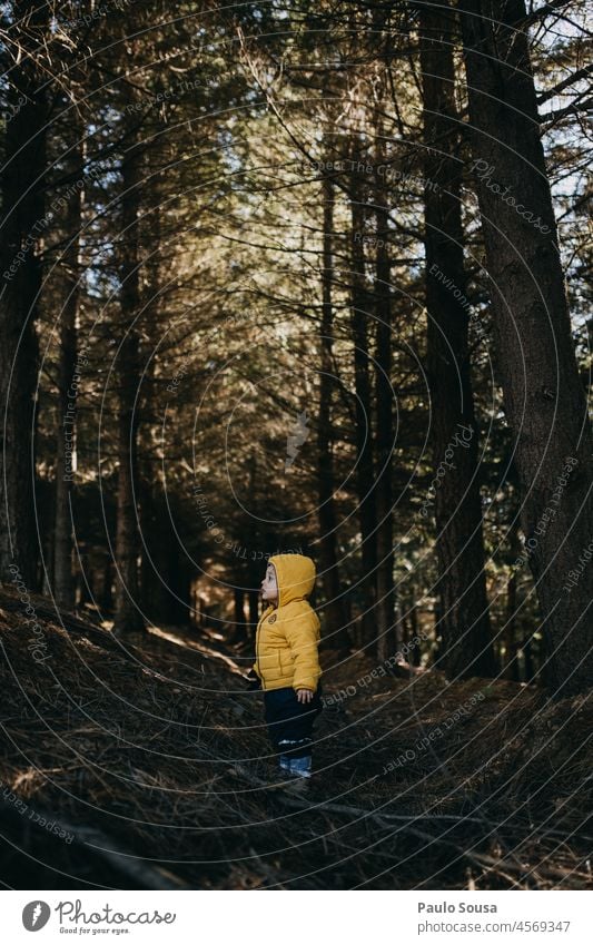 Kind mit gelber Kapuzenjacke im Wald Kindheit 1-3 Jahre Kaukasier Wärme Holz Porträt Farbfoto Tag Jacke maskulin niedlich Außenaufnahme Mensch Natur Blick Junge