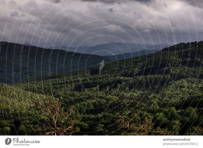 Luftaufnahme des Waldes. Panorama des Bergwaldes. Ansicht Landschaft Bäume Antenne natürlich Umwelt im Freien Park grün Hintergrund Natur oben Top wild Pflanze