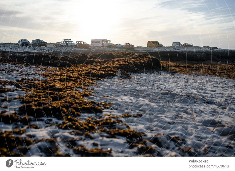 #A0# Punta Küste Strand Seetang Sand Strandleben Strandspaziergang Insel Fuerteventura Kanaren Kanarische Inseln Surfer Surfers Paradise Surfen