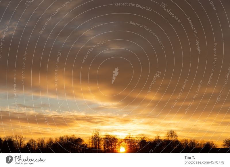 Hinter einer Reihe Blattloser Bäume geht die Sonne unter Winter Sonnenuntergang Landschaft Farbfoto Himmel Natur Außenaufnahme Abend Dämmerung Menschenleer