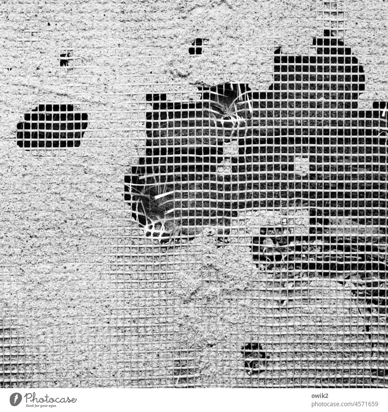 Zwangsbelüftung Strukturen & Formen Gitter grau Menschenleer Wand Fehler schadhaft Gebäude Haus Wärmedämmung Außenaufnahme Fassade Muster abstrakt Linie