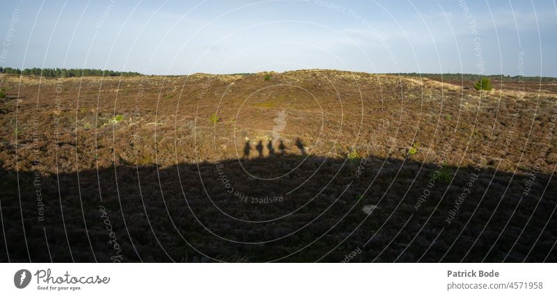 Schatten einer zielstrebigen Wandergruppe Schattenwurf Erwachsene spazieren gehen gemeinsam Wege & Pfade Spaziergang wandern 4 Menschen Gruppe Landschaft