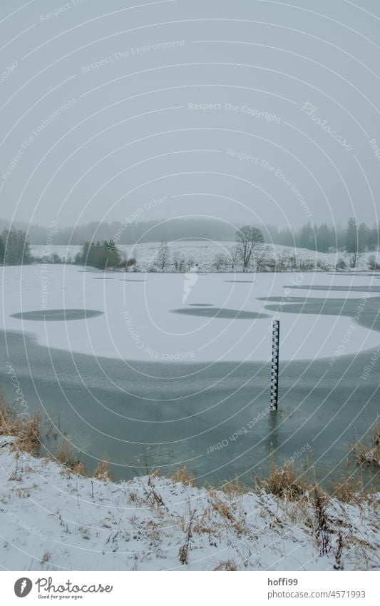 zugefrorener See mit Wasserstandsanzeiger Gefahr zugefrorener see Winter frieren weiß Landschaft Schnee Frost Natur Eis kalt Kälte ruhig Seeufer Wald Spuren