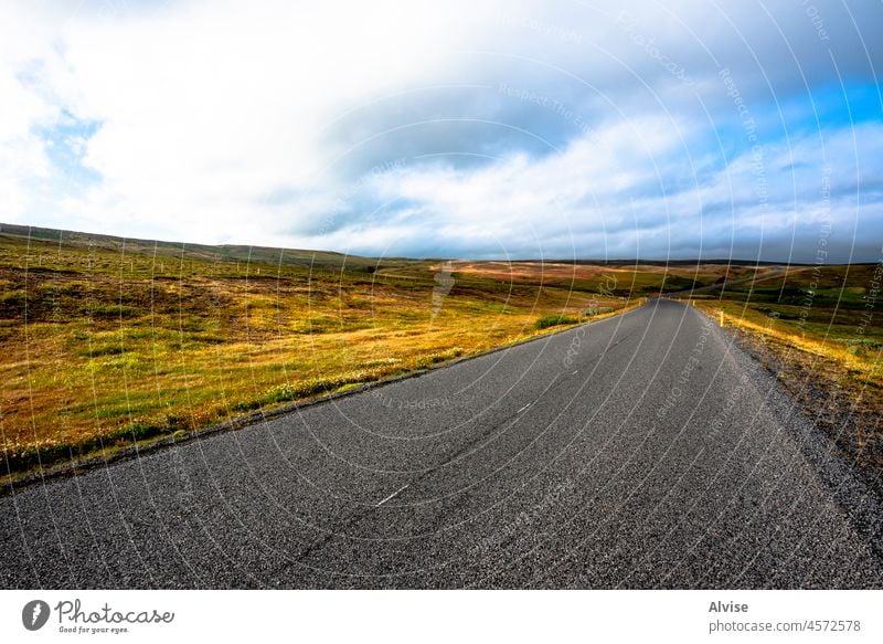 2021 08 13 Myvatn-Straße zwischen den Wiesen Natur Landschaft reisen Lava Gras Island Berge u. Gebirge Europa grün Felsen im Freien Wasser vulkanisch Hügel