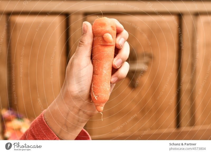 Guten Tag Herr Karotte Kind Hand Gesicht Möhre geschnitzt Kinderhand spielen Quatsch Nase Mund Augen Bio Essen Lebensmittel Rohkost Gemüse Ernährung Gesundheit