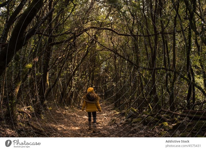 Unbekannte Frau geht im Herbstwald spazieren Wanderer Natur Wälder Trekking Wald Waldgebiet Baum reisen Spaziergang erkunden Ausflug Fernweh Abenteuer Spanien