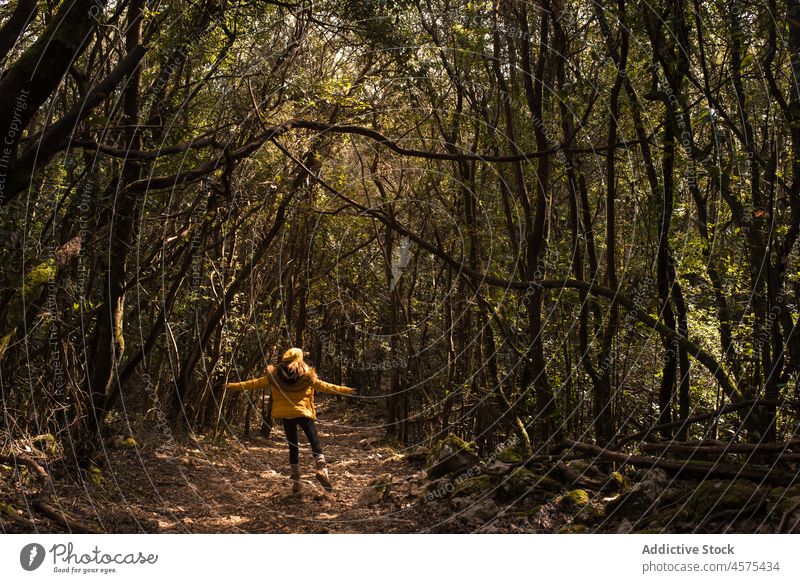 Unbekannte Frau geht im Herbstwald spazieren Wanderer Natur Wälder Trekking Wald Waldgebiet Baum reisen Spaziergang erkunden Ausflug Fernweh Abenteuer Spanien