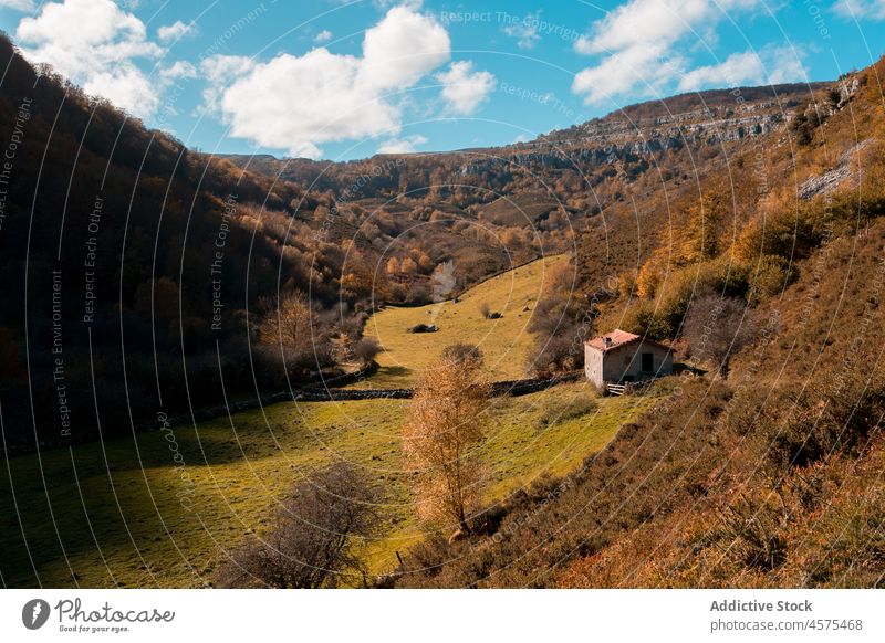 Kleines Haus auf grasbewachsenem Hügel mit Bäumen Landschaft Natur Gebäude Cottage Berge u. Gebirge malerisch Gipfel Kamm Blauer Himmel spektakulär Buchse