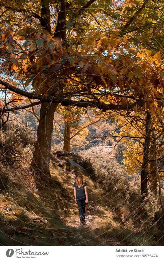 Unbekannte Frau geht im Herbstwald spazieren Wanderer Natur Wälder Trekking Wald Waldgebiet Baum reisen Spaziergang erkunden Ausflug Fernweh Abenteuer Spanien