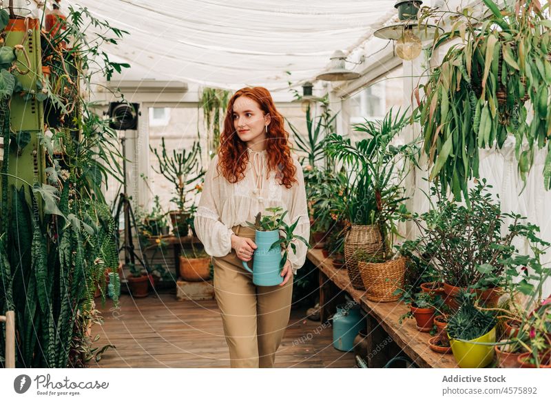 Sanfte Frau mit Krug mit Setzlingen im Innengarten Zimmerpflanze kultivieren eingetopft Garten Botanik Keimling Laubwerk frisch Hobby botanisch Kannen