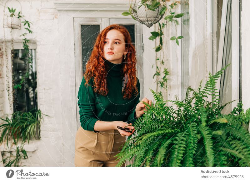 Frau schneidet Blatt eines Farns zu Hause Pflanze Schere Pflege Ast Wurmfarn Zimmerpflanze Garten Hobby Laubwerk wachsen eingetopft ernst Ingwerhaar Wachstum