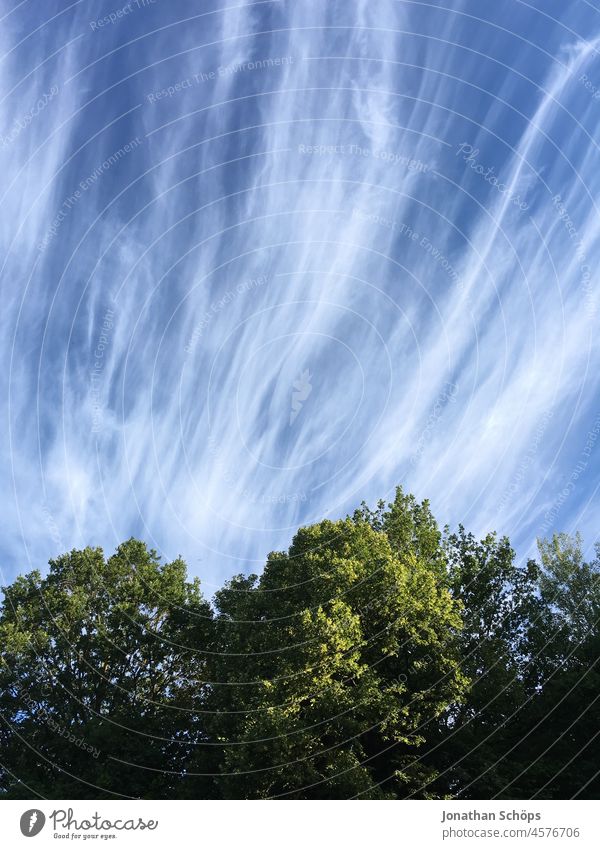 Blauer Himmel weißen Wolken über Wald blau Himmelblau klar Kondensstreifen Himmel (Jenseits) himmelwärts Himmelsstürmer himmelblau Außenaufnahme Farbfoto