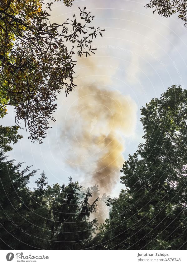 dunkler Rauch im Wald Klimakrise Übermut Hochmut Verantwortung Emission Klimawandel Umweltschaden Außenaufnahme Umweltverschmutzung CO2-Ausstoß Himmel