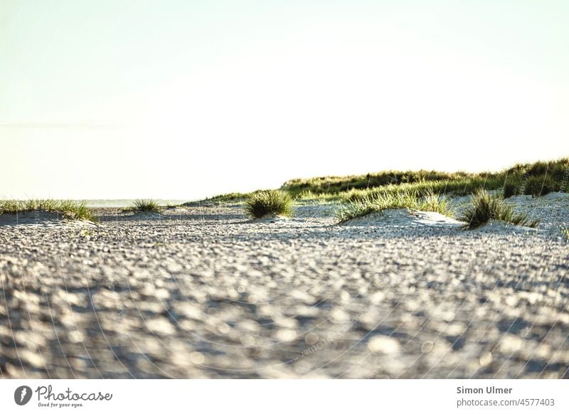 Sonnenuntergang an einem Nordseestrand MEER Strand Sand Wasser Wolken Gras Natur Himmel Landschaft winken Sonnenlicht Sommer Küste Meer reisen wunderschön