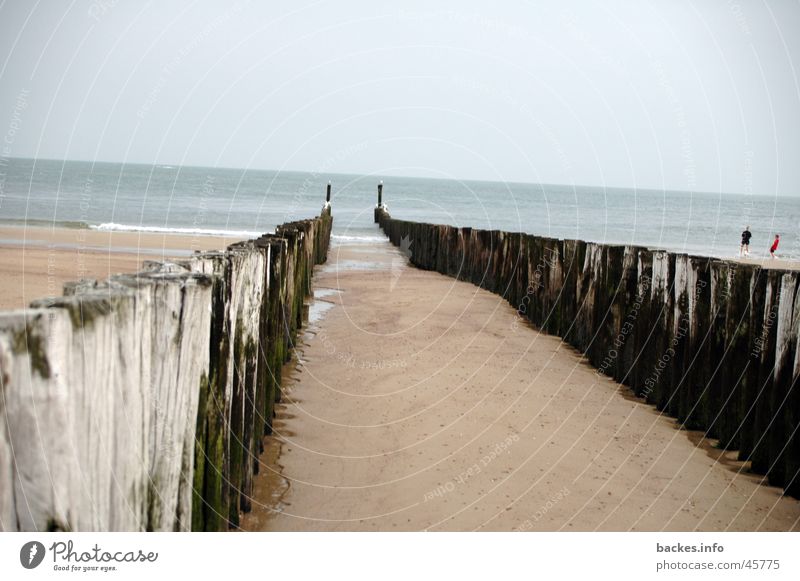 ab ins meer Meer Strand Algen Europa Wasser Sand Pfal Abend Abgang