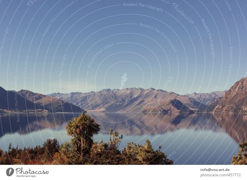 NZ Licht Außenaufnahme Landschaft Berge u. Gebirge Hügel Natur Aussicht Himmel Wolken Feld Ferne Freude Moos Gras Sträucher Freiheit Stimmung Farbfoto