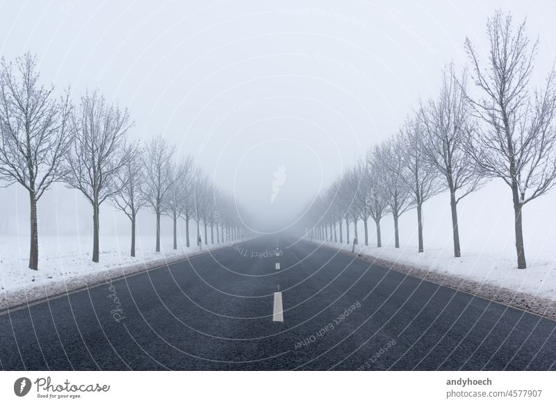 Eine Landstraße im Winter mit kahlen Bäumen am Straßenrand Abenteuer Asphalt schön Herausforderung kalt verbindend Textfreiraum Landschaft Gefahr gefährlich