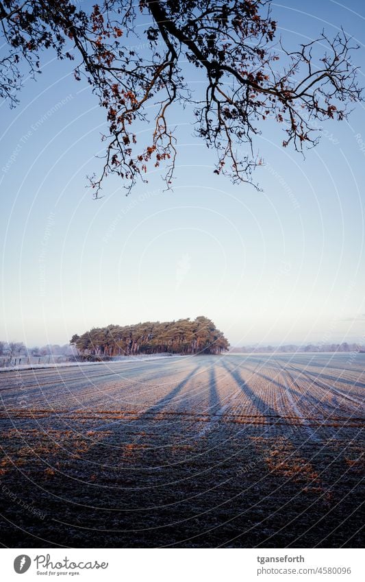 Wintermorgen im Emsland Winterstimmung Wintereinbruch Natur Kälte Wetter Frost winterlich Dezember kalt Eis Norddeutschland Morgen lange Schatten Sonnenaufgang