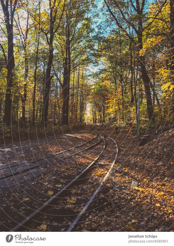 Gleise der Parkeisenbahn im Küchwald Chemnitz Zug Bahn Gleisanlagen Hobby Freizeit & Hobby Bahnfahren Bahnanlage Bahngleise Bahnschienen Wald Herbst sonnig