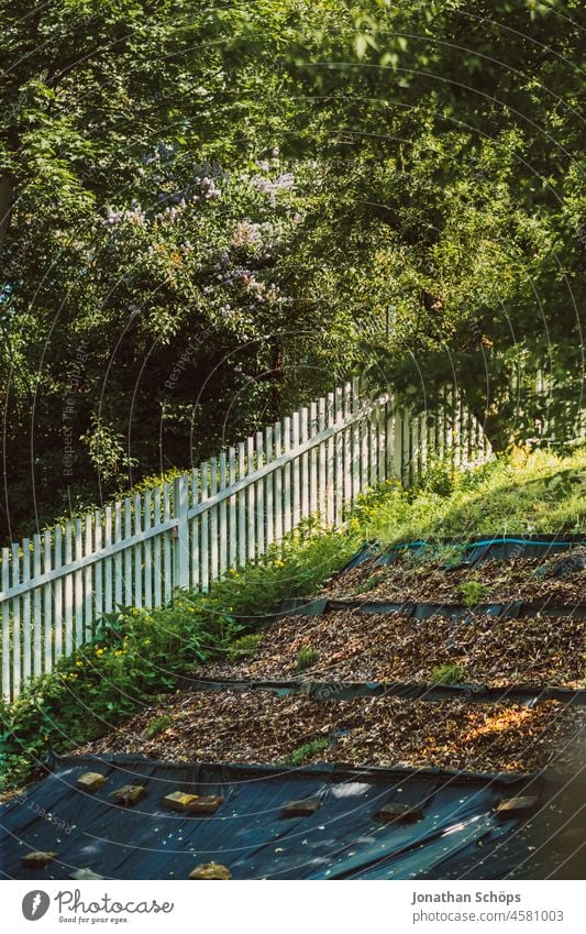 weißer Gartenzaun an Abhang Zaun Holzzaun Beet Sonnenlicht grün Sommer Bäume Farbfoto Außenaufnahme Menschenleer Pflanze Natur Tag Grenze Sträucher