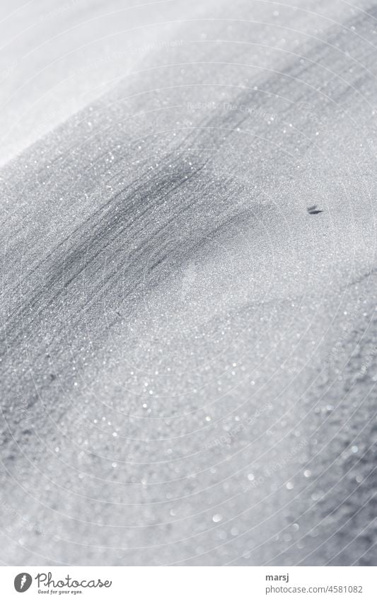 Der einzige Schatten in der endlosen Schneelandschaft. Ameisengröße. Schneedecke frisch verschneit einzigartig Winter Schneefeld natürlich Kälte winterlich