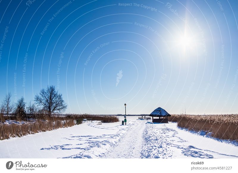 Bodden mit Weg und Hütte in Born auf dem Fischland-Darß im Winter Schnee Schilf Ufer Mecklenburg-Vorpommern Gebäude Architektur Gewässer gefroren Tourismus