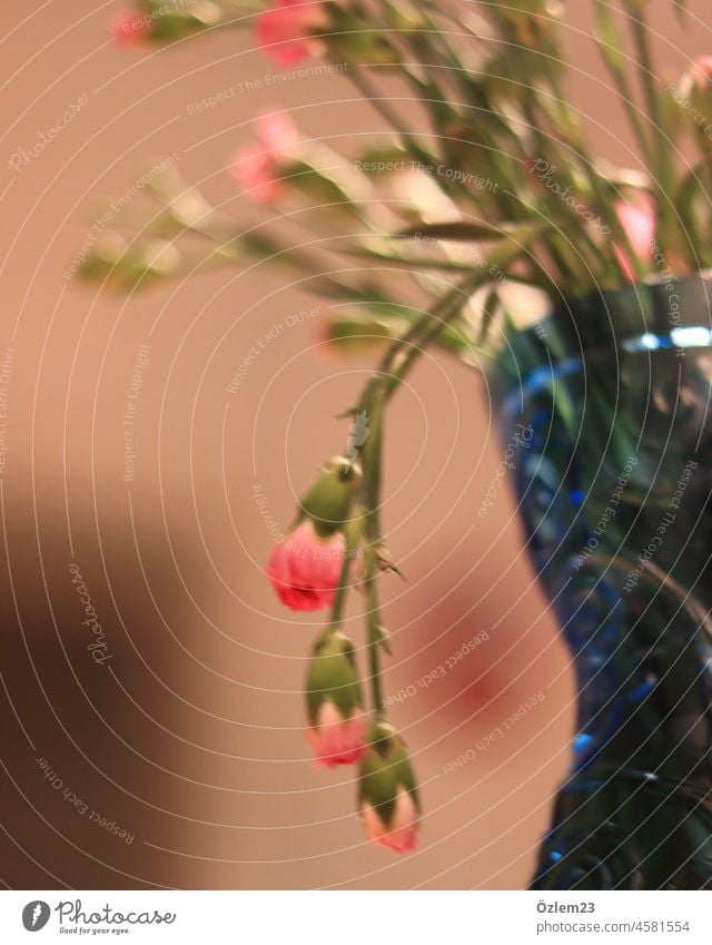 Pinke Blumen in der blauen Vase Blumenstrauß Wasser pink Blüte Frühling Natur Pflanze Dekoration & Verzierung Farbfoto grün Innenaufnahme Blühend Menschenleer