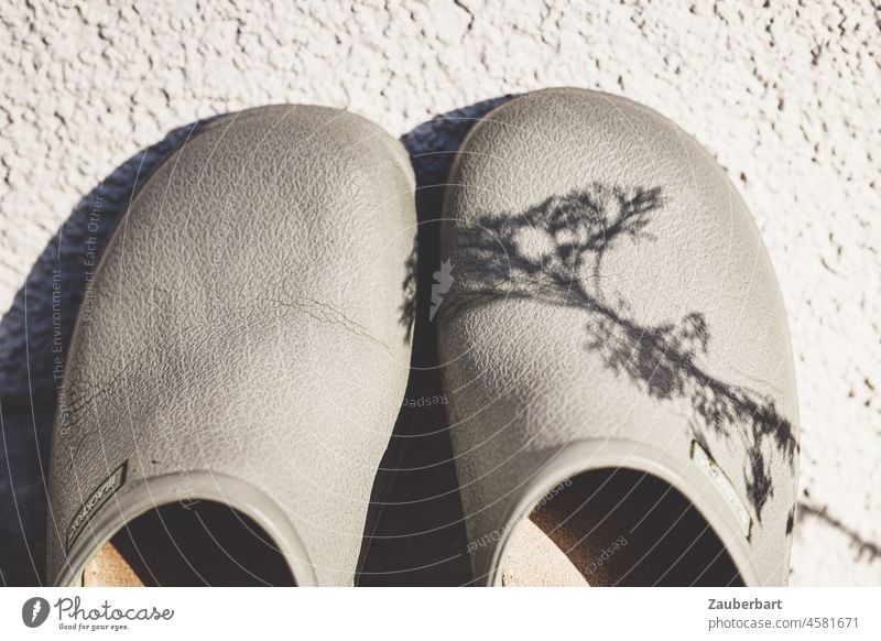 Schatten einer Zierpflanze auf Arbeitsschuhen für den Garten Gärtnern Schuhe Gummischuhe Clogs Pflanze Licht gärtnern Pflanzen Gartenarbeit Frühling