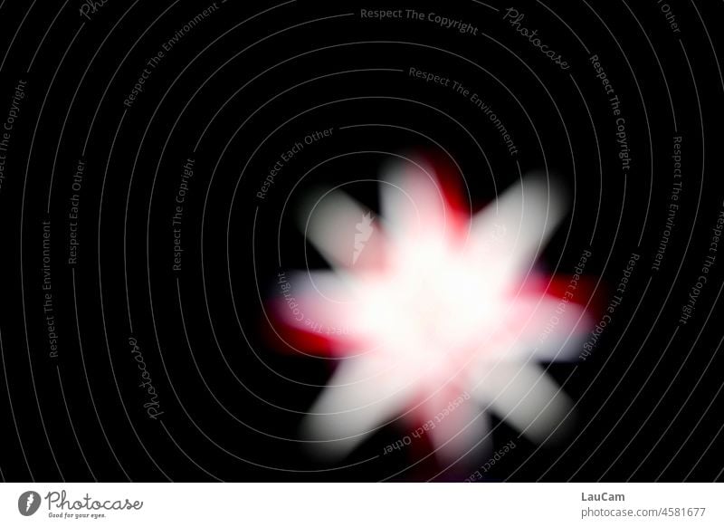 Weihnachten naht - verschwommener Stern in der Dunkelheit hell Weihnachten & Advent Weihnachtsdekoration Stern (Symbol) Weihnachtsstern Dekoration & Verzierung