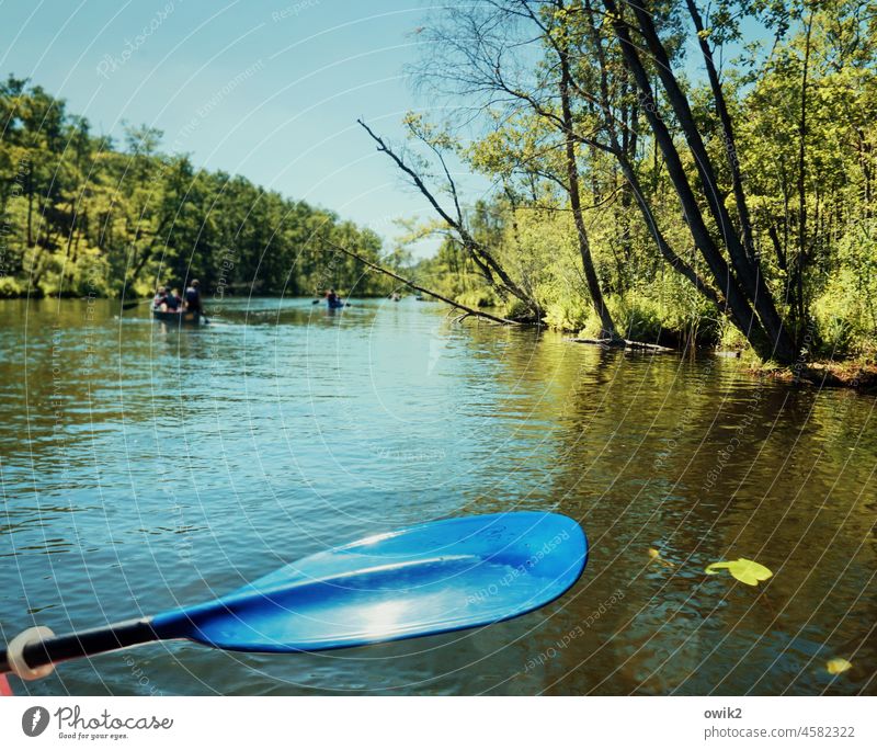 Im Nachhinein Landschaft Wasser Urelemente Umwelt Natur Schönes Wetter Wasserstraße Kanal Sträucher Erholung Außenaufnahme Paddel Ruder Ausflug Freizeit & Hobby