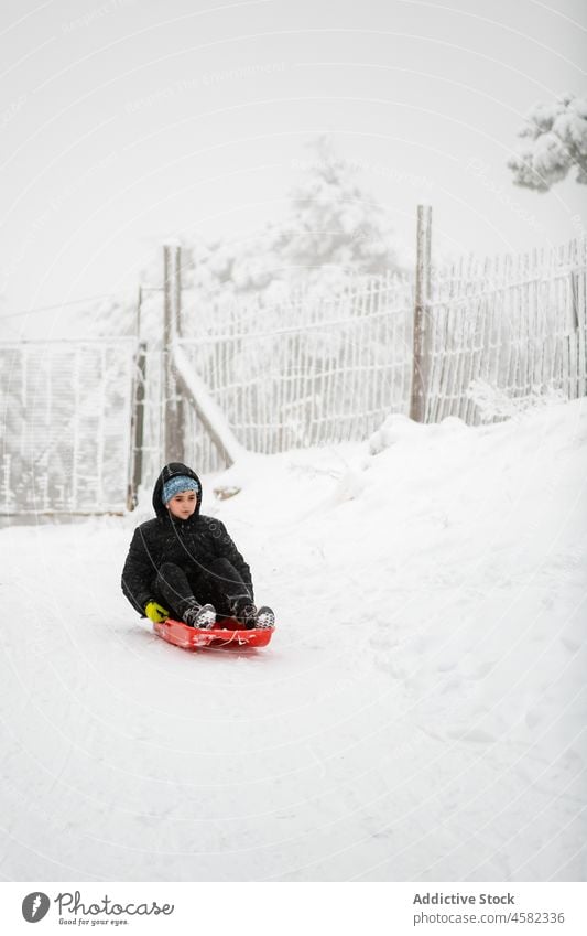 Teenager-Junge in warmer Kleidung in verschneiter Natur auf einem Schlitten Schnee Winter Wald Rodel Baum Oberbekleidung Frost warme Kleidung Hut Sliden spielen